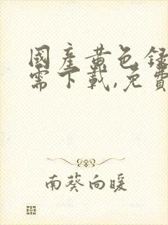 国产黄色录像无需下载,免费看.