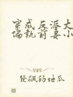 穿成反派大佬的偏执前妻小说