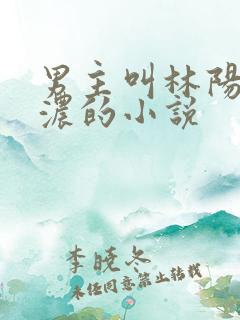 男主叫林阳秦墨浓的小说