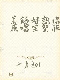 真的好想你歌曲原唱完整版