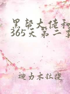黑帮大佬和我的365天第二季免费看