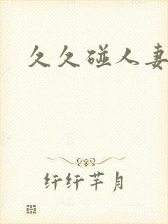 久久碰人妻一区