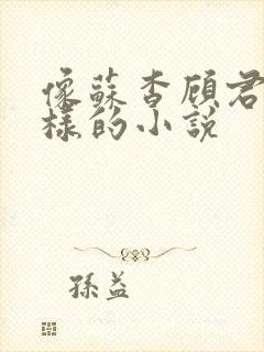 像苏杳顾君亦一样的小说