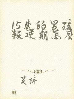 15岁的男孩子叛逆期怎么办