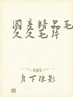 国产精品毛片久久久毛片