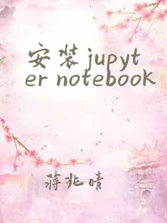 安装jupyter notebook