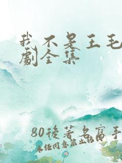 我不是王毛电视剧全集