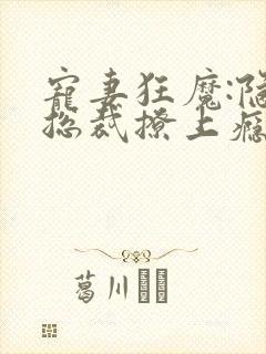 宠妻狂魔:隐婚总裁撩上瘾 五