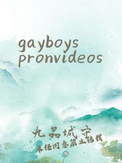 gayboyspronvideos