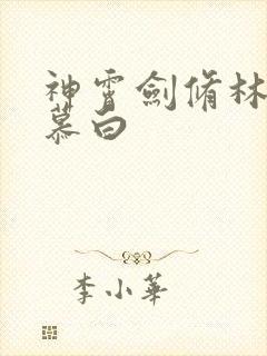 神霄剑修林枫苏慕白