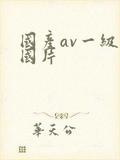 国产av一级岛国片