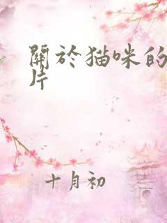 关于猫咪的动画片