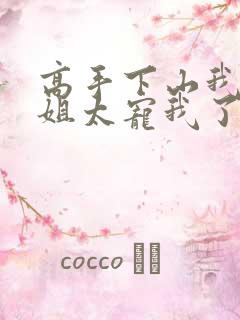 高手下山我家师姐太宠我了完整