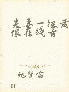 夫妻一级黄色录像在线看