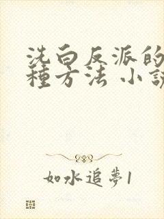 洗白反派的一百种方法 小说