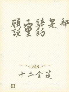 顾西辞是哪部小说里的