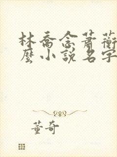 林乔念萧蘅是什么小说名字