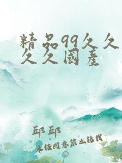 精品99久久久久久国产