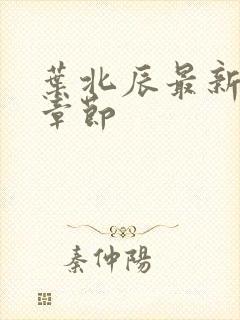 叶北辰最新更新章节