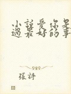 小说爱你是我做过最好的事