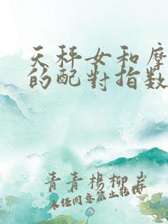 天秤女和摩羯男的配对指数是多少