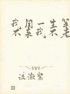 我用一生等你你不来我不老是什么歌