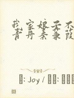 我家娘子不对劲青舟秦蒹葭