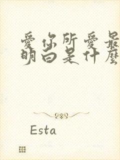 爱你所爱最后才明白是什么歌