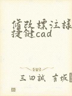 修改标注样式快捷键cad