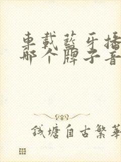 车载蓝牙播放器哪个牌子音质好