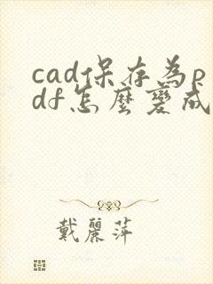 cad保存为pdf怎么变成那么小
