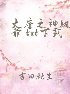 大唐之神级太子爷 txt下载