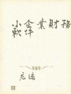 小企业财务记账软件