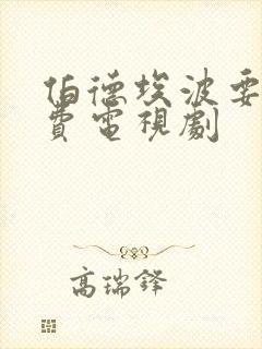 伯德埃波要塞免费电视剧