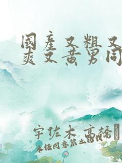 国产又粗又猛又爽又黄男同