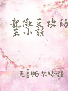 龙傲天攻的双男主小说