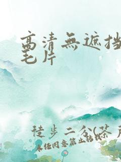 高清无遮挡高潮毛片