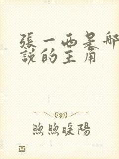 张一西是哪部小说的主角