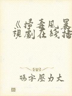 《扫毒风暴》电视剧在线播放