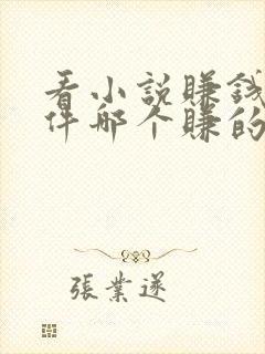 看小说赚钱的软件哪个赚的最多