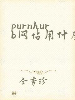 purnhurb网站用什么浏览器可以打开