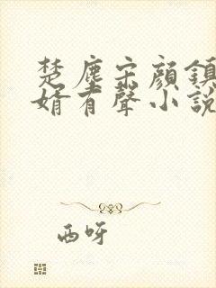 楚尘宋颜镇国神婿有声小说