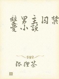 双男主囚禁强制爱小说