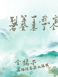 别等了,我家夫君登基了全集