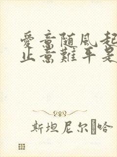 爱意随风起,风止意难平是什么歌