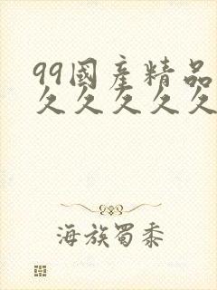 99国产精品久久久久久久成人