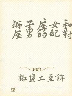 狮子座女和水瓶座男的配对指数