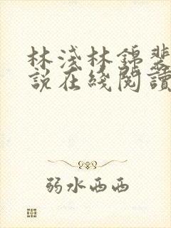 林浅林锦裴彻小说在线阅读