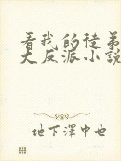 看我的徒弟都是大反派小说的软件