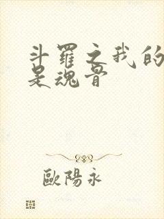 斗罗之我的武魂是魂骨